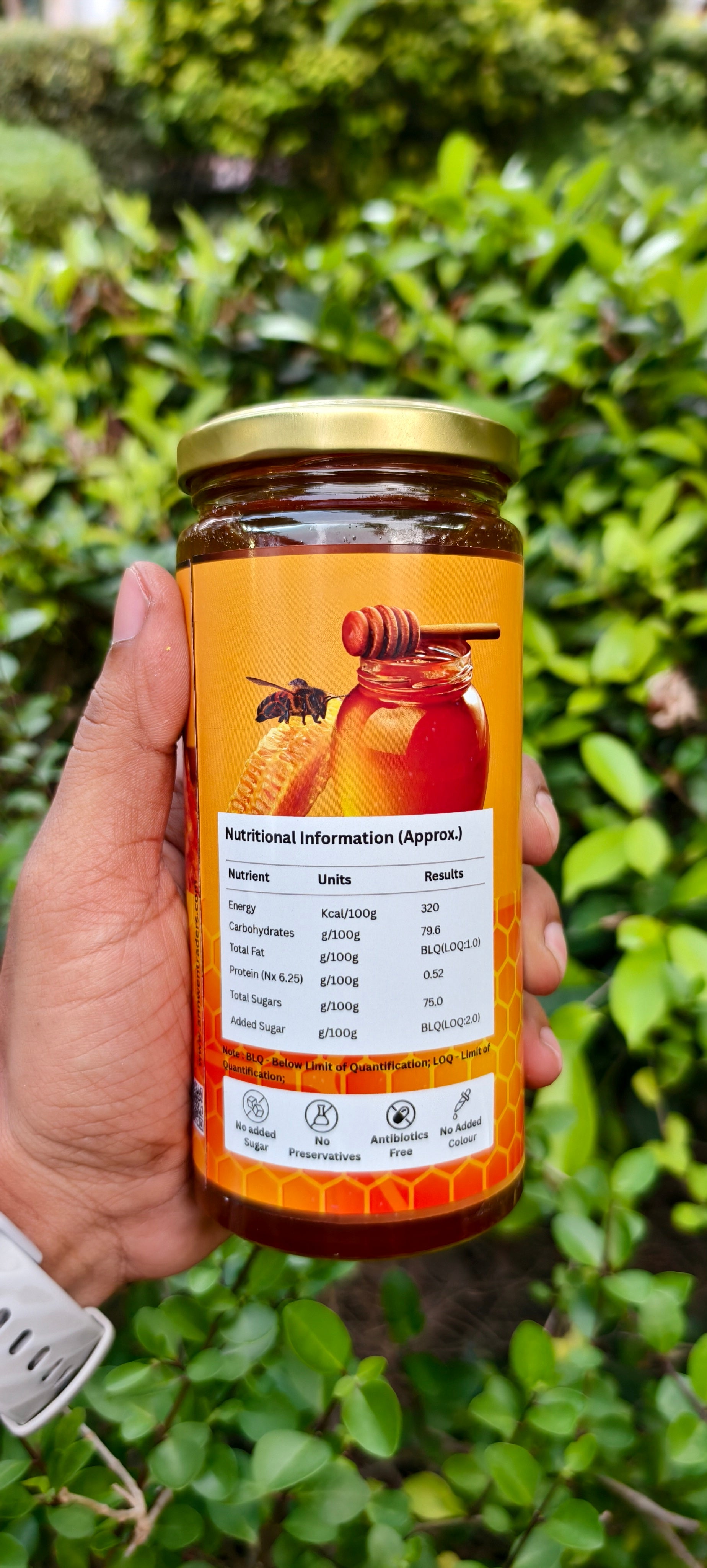 Small Bee Honey (Stingless Bee)
