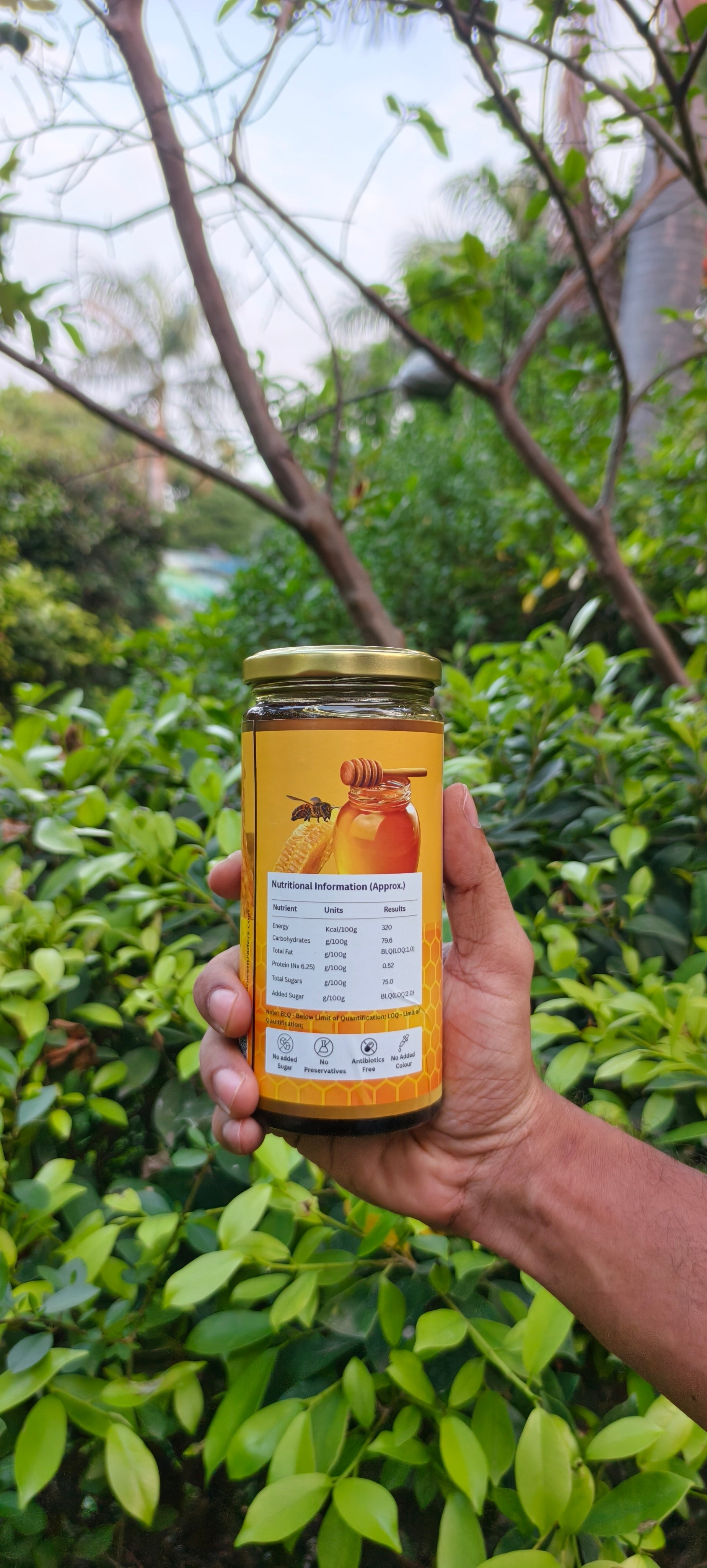 Mountain Honey